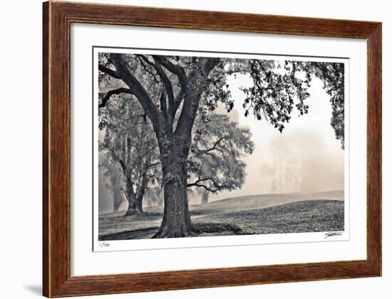 Scenic Oak-Donald Satterlee-Framed Giclee Print