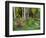 Scenic of Forest and Garden, Canada-Ellen Anon-Framed Photographic Print