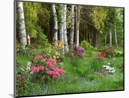 Scenic of Forest and Garden, Canada-Ellen Anon-Mounted Photographic Print