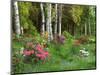 Scenic of Forest and Garden, Canada-Ellen Anon-Mounted Photographic Print