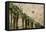 Scenic of Palm Trees, Palm Springs, California, USA-Julien McRoberts-Framed Premier Image Canvas