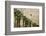 Scenic of Palm Trees, Palm Springs, California, USA-Julien McRoberts-Framed Photographic Print