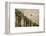 Scenic of Palm Trees, Palm Springs, California, USA-Julien McRoberts-Framed Photographic Print