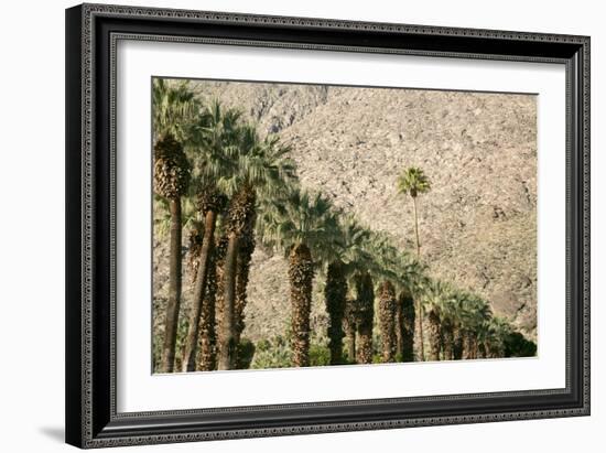 Scenic of Palm Trees, Palm Springs, California, USA-Julien McRoberts-Framed Photographic Print