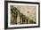 Scenic of Palm Trees, Palm Springs, California, USA-Julien McRoberts-Framed Photographic Print