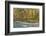 Scenic of Quinault River in the Olympic National Park, Washington, USA-Jaynes Gallery-Framed Photographic Print