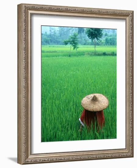 Scenic of Rice Fields and Farmer on Yangtze River, China-Bill Bachmann-Framed Photographic Print