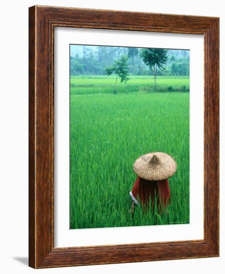 Scenic of Rice Fields and Farmer on Yangtze River, China-Bill Bachmann-Framed Photographic Print