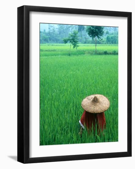 Scenic of Rice Fields and Farmer on Yangtze River, China-Bill Bachmann-Framed Photographic Print