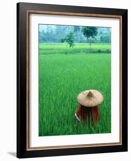 Scenic of Rice Fields and Farmer on Yangtze River, China-Bill Bachmann-Framed Photographic Print