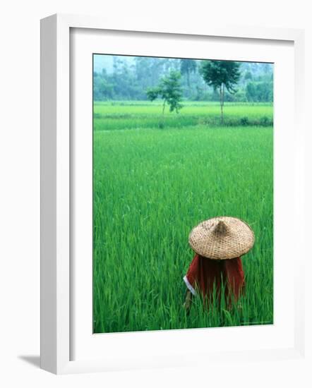 Scenic of Rice Fields and Farmer on Yangtze River, China-Bill Bachmann-Framed Photographic Print