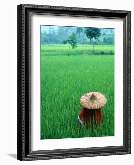 Scenic of Rice Fields and Farmer on Yangtze River, China-Bill Bachmann-Framed Photographic Print