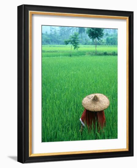 Scenic of Rice Fields and Farmer on Yangtze River, China-Bill Bachmann-Framed Photographic Print