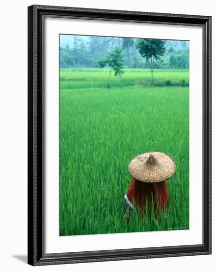 Scenic of Rice Fields and Farmer on Yangtze River, China-Bill Bachmann-Framed Photographic Print