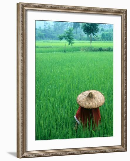 Scenic of Rice Fields and Farmer on Yangtze River, China-Bill Bachmann-Framed Photographic Print