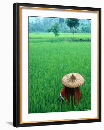 Scenic of Rice Fields and Farmer on Yangtze River, China-Bill Bachmann-Framed Photographic Print