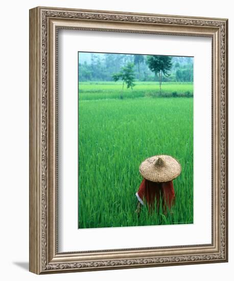 Scenic of Rice Fields and Farmer on Yangtze River, China-Bill Bachmann-Framed Photographic Print