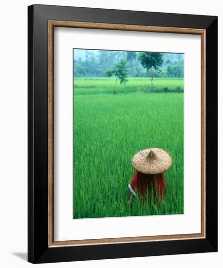 Scenic of Rice Fields and Farmer on Yangtze River, China-Bill Bachmann-Framed Photographic Print