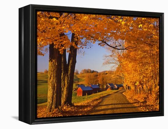 Scenic of Road and Jenne Farm, South Woodstock, Vermont, USA-Jaynes Gallery-Framed Premier Image Canvas