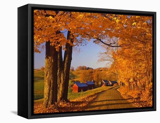 Scenic of Road and Jenne Farm, South Woodstock, Vermont, USA-Jaynes Gallery-Framed Premier Image Canvas