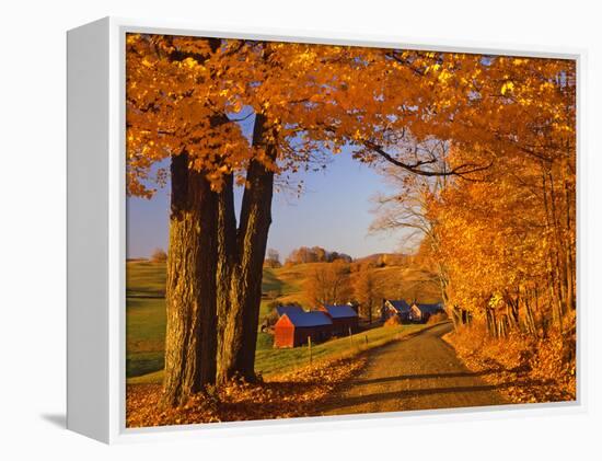 Scenic of Road and Jenne Farm, South Woodstock, Vermont, USA-Jaynes Gallery-Framed Premier Image Canvas