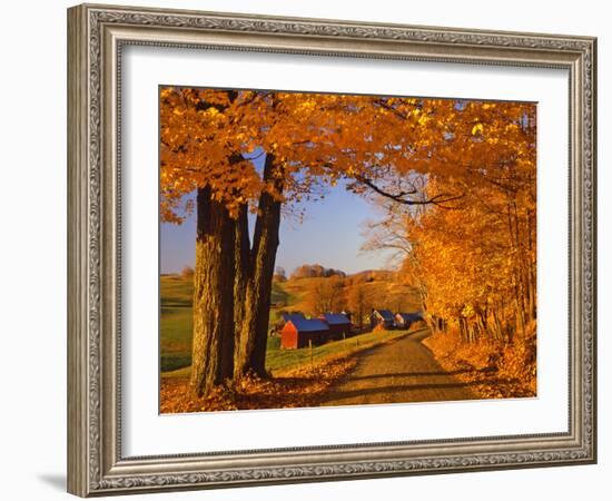 Scenic of Road and Jenne Farm, South Woodstock, Vermont, USA-Jaynes Gallery-Framed Photographic Print