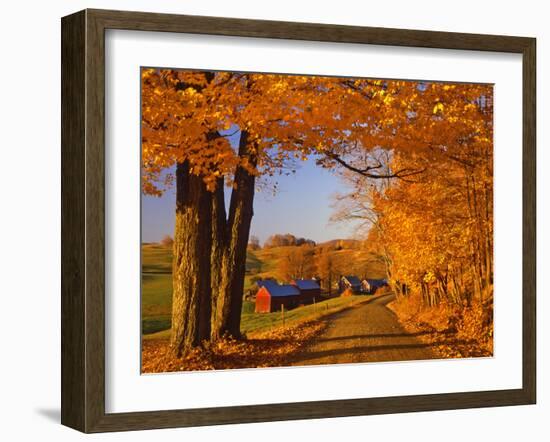 Scenic of Road and Jenne Farm, South Woodstock, Vermont, USA-Jaynes Gallery-Framed Photographic Print