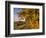 Scenic of Road and Jenne Farm, South Woodstock, Vermont, USA-Jaynes Gallery-Framed Photographic Print