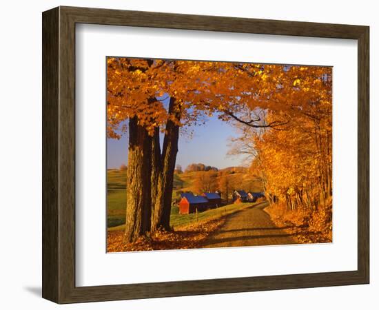 Scenic of Road and Jenne Farm, South Woodstock, Vermont, USA-Jaynes Gallery-Framed Photographic Print