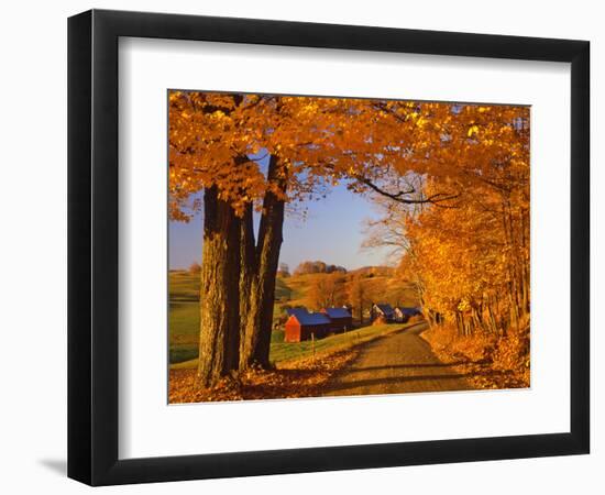 Scenic of Road and Jenne Farm, South Woodstock, Vermont, USA-Jaynes Gallery-Framed Photographic Print