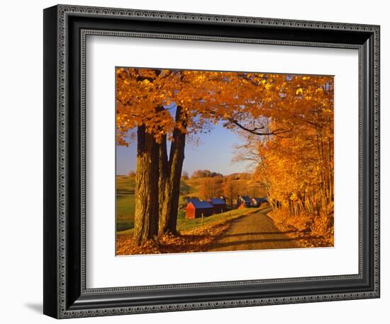 Scenic of Road and Jenne Farm, South Woodstock, Vermont, USA-Jaynes Gallery-Framed Photographic Print