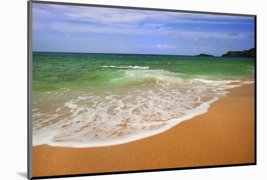 Scenic of Secret Beach, Kauai, Hawaii, USA-Jaynes Gallery-Mounted Photographic Print