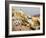 Scenic Oia, Santorini, Greece-Bill Bachmann-Framed Photographic Print