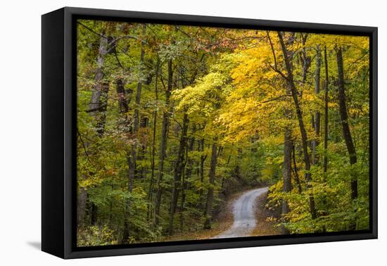 Scenic Road Through Autumn Forest Indiana, USA-Chuck Haney-Framed Premier Image Canvas