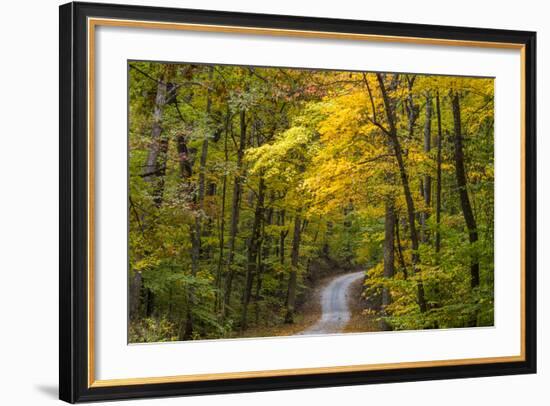 Scenic Road Through Autumn Forest Indiana, USA-Chuck Haney-Framed Photographic Print