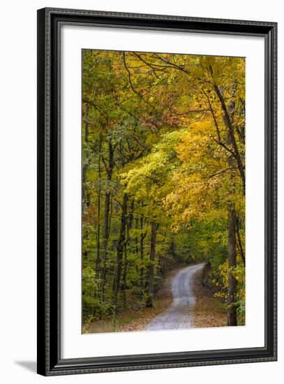 Scenic Road Through Autumn Forest Indiana, USA-Chuck Haney-Framed Photographic Print