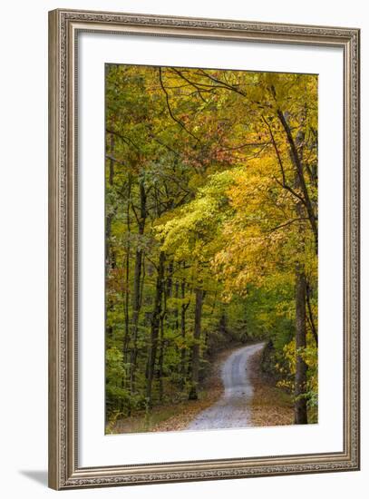 Scenic Road Through Autumn Forest Indiana, USA-Chuck Haney-Framed Photographic Print