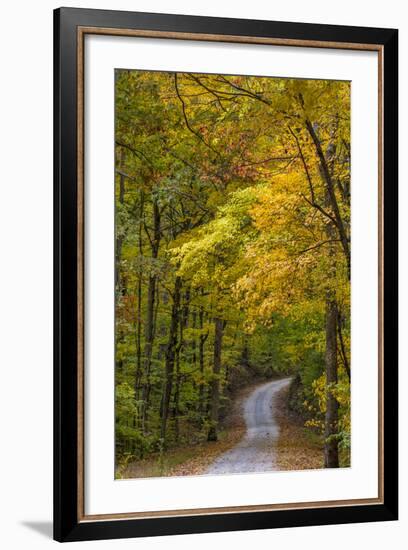 Scenic Road Through Autumn Forest Indiana, USA-Chuck Haney-Framed Photographic Print