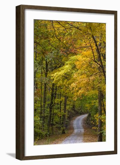 Scenic Road Through Autumn Forest Indiana, USA-Chuck Haney-Framed Photographic Print