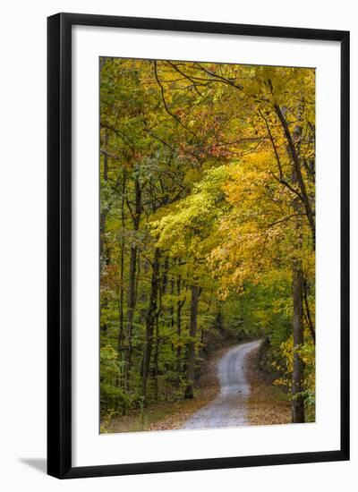 Scenic Road Through Autumn Forest Indiana, USA-Chuck Haney-Framed Photographic Print