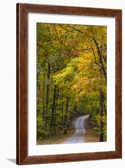 Scenic Road Through Autumn Forest Indiana, USA-Chuck Haney-Framed Photographic Print