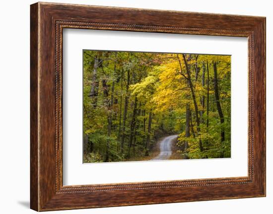 Scenic Road Through Autumn Forest Indiana, USA-Chuck Haney-Framed Photographic Print