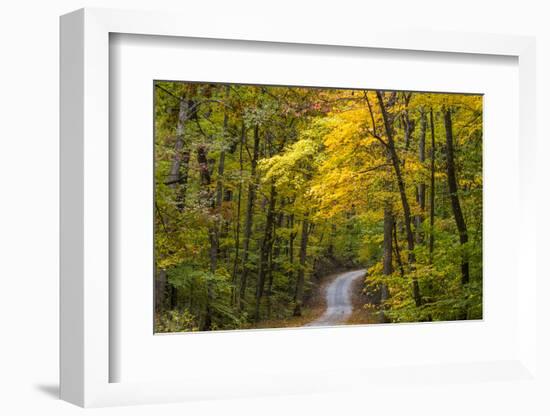 Scenic Road Through Autumn Forest Indiana, USA-Chuck Haney-Framed Photographic Print