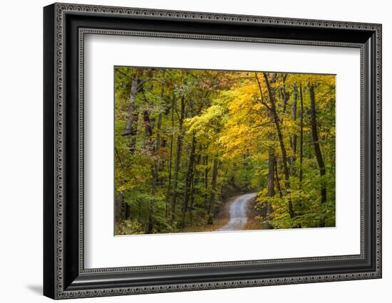 Scenic Road Through Autumn Forest Indiana, USA-Chuck Haney-Framed Photographic Print