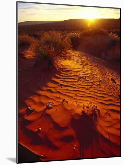 Scenic Sunrise-John Luke-Mounted Photographic Print