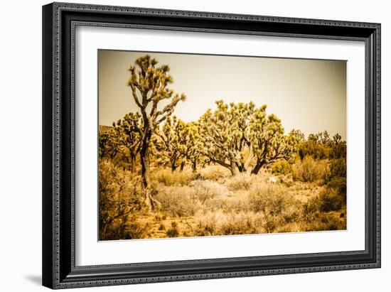 Scenic View In Joshua Tree National Park-Ron Koeberer-Framed Photographic Print