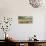 Scenic View, Looking East Towards The Central Valley From The Temblor Range-Ron Koeberer-Photographic Print displayed on a wall