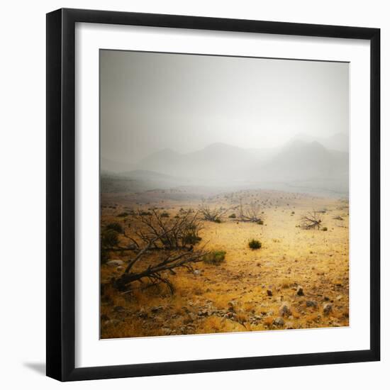 Scenic View, Looking South From California State Route 89 On The East Side Of Moniter Pass-Ron Koeberer-Framed Photographic Print