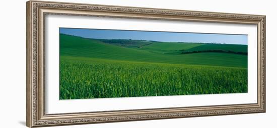 Scenic view of a field, South Downs, South Downs National Park, Sussex, England-null-Framed Photographic Print