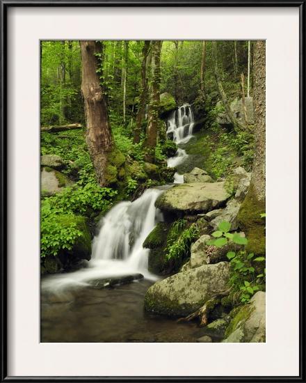 Scenic View of a Smoky Mountains Waterfall and Forest-Darlyne A^ Murawski-Framed Photographic Print